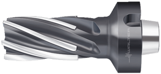 Фреза с напайными пластинами F1682.N8.063.Z06.100.P